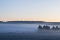 Nature — obft4732_edit — Bognjen