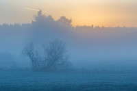 Nature — obft4761_hdr — Bognjen