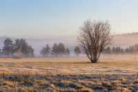 Nature — obft4773_hdr — Bognjen