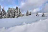 Traces of Winter Silence — img_3680 — Bognjen