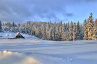 Traces of Winter Silence — img_3723_tonemapping — Bognjen