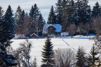 Traces of Winter Silence — img_8996 — Bognjen